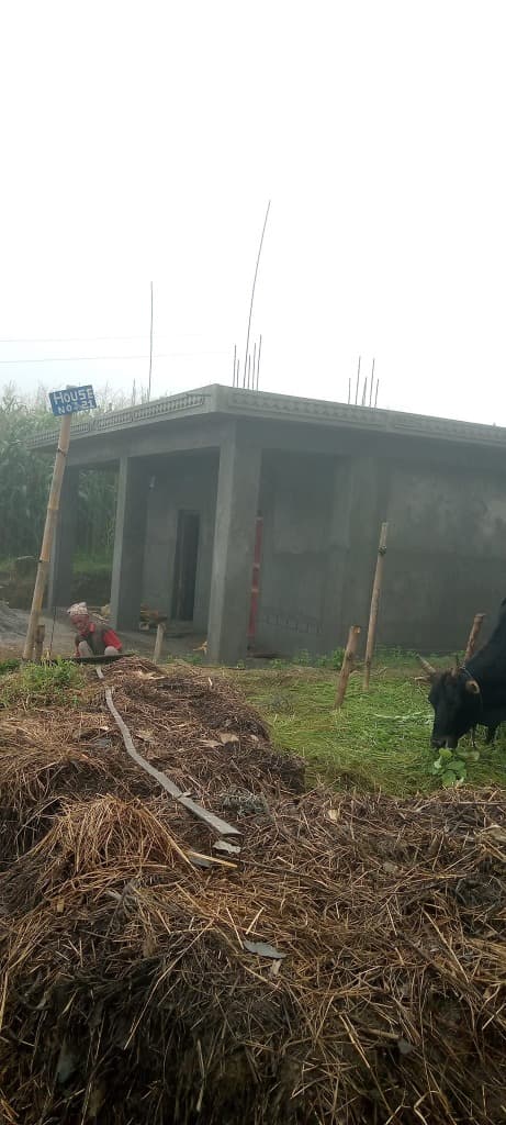 HDCS Partnership Project - Image 3